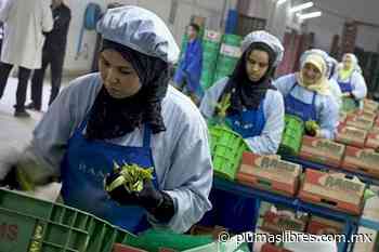 Simona, la ahorradora - plumas libres