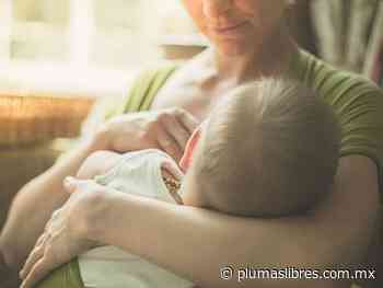 5 consejos para iniciar con la lactancia exclusiva - plumas libres