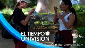 Tiempo en Salt Lake City: jueves caluroso y cielos libres de nubosidad - Univision