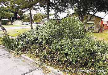 Vías públicas libres de obstrucciones | Periodico El Mundo - Noticias para Hispanos - Hispanic newspaper for Austin and Central Texas - El Mundo Newspaper