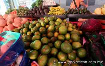 Se elevan precios de limón y aguacate EN LEON GUANAJUATO MEXICO - El Sol de León