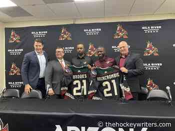 Coyotes Launch Coaching Internship To Promote Diversity - The Hockey Writers
