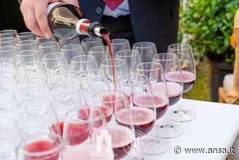 'Di Freisa in Freisa', Chieri celebra vino collina torinese - Agenzia ANSA