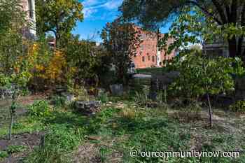 What to see and do at the 2021 Chicago Architecture Biennial - Our Community Now at Washington, D.C.