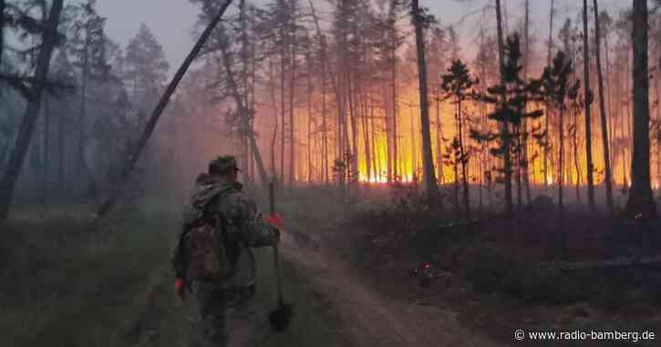 Umweltschützer: Waldbrände in Russland – historisches Ausmaß