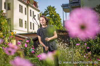Dresden: Dresdner bringt Beete im Kleingarten zum Klingen - Sächsische.de