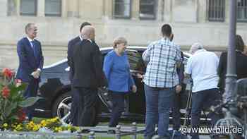 Angela Merkel: Pfiffe und Buhrufe für die Kanzlerin in Dresden | Regional - BILD