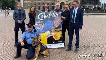 Stadtfest Dresden: Bühne und Rummel nur mit 3G | Regional - BILD