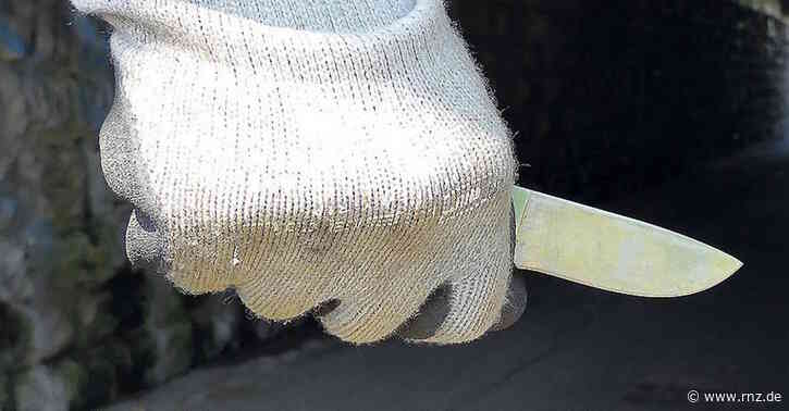 Mannheim-Käfertal:  Streit im Stempelpark eskaliert