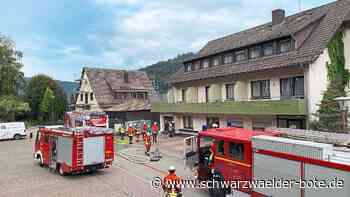 Feuer in Bad Herrenalb: Brennende Tanne schnell gelöscht