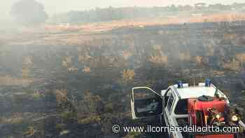 Ardea continua a bruciare. Due incendi in pochi minuti: un uomo resta ferito per sfuggire alle fiamme - Il Corriere della Città