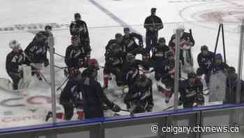 'Skill level looks great': Lethbridge Hurricanes back on the ice for training camp - CTV News Calgary