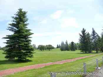 Three parks being "naturalized" around Lethbridge - My Lethbridge Now