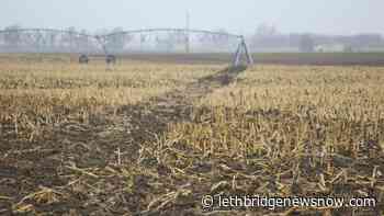 Cash advance program accepting fall applications - Lethbridge News Now