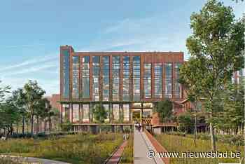 Redding Beringse kolenwasserijen: light restauratie en dan mag de natuur het overnemen