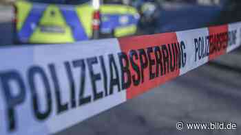 Oschatz: Frau (82) getötet, Verdächtiger festgenommen - bild.de