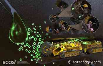 Just a Few Common Bacterial Groups Gobble Up the Majority of Carbon in Soil