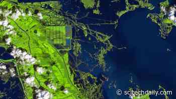 A Changed Landscape in Southern Louisiana After Hurricane Ida: Large New Patches of Open Water