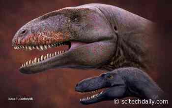 Who Was King Before T. rex? Dinosaur Fossil Reveals New Apex Predator