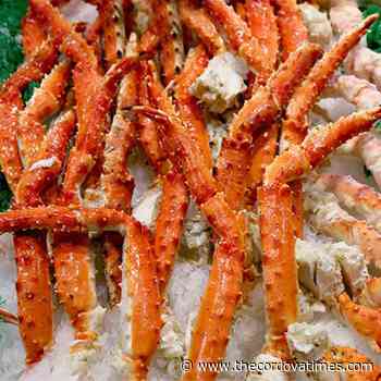 Bristol Bay red king crab harvest halted for 2021-22 - The cordova Times