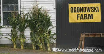 This Week in Agribusiness, September 11, 2021