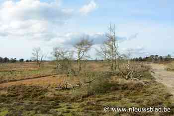Oppositie betreurt dat gemeentebestuur kandidatuur Grenspark... (Kalmthout) - Het Nieuwsblad