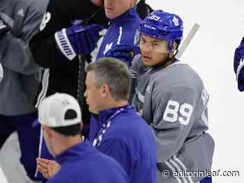 3 Players to Watch at Toronto Maple Leafs Development Camp - Editor in Leaf