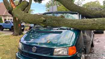 Hydro crews work to restore power in Toronto neighbourhoods in aftermath of storms - CBC.ca