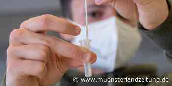 MLZ+ Corona: „60 Prozent der Betroffenen kommen aus anderem Kulturkreis“ - Münsterland Zeitung