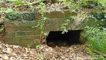 Kalkar: Welche Sage zur Quelle Möllepötchen erzählt wird - NRZ