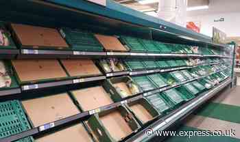 Scramble to stop Christmas disaster as food shortages set to be 'permanent problem' - Express