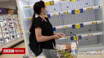 Food shortages could be permanent, warns industry body - BBC News