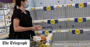 Britain faces 'permanent' food shortages, trade body boss warns - Telegraph.co.uk