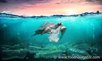 Food companies 'behind the curve' on plastic pollution, campaigners claim - FoodNavigator.com