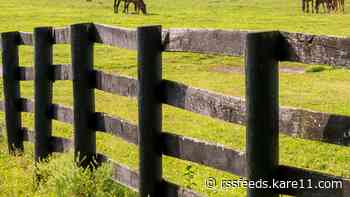 2 often-fatal horse diseases confirmed in Minnesota