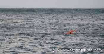 Fin-Tastic: Dolphins Miraculously Save Swimmer Stranded for Hours