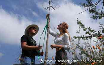 Familiares y amigos recuerdan al activista Rodrigo Morales - El Sol de Cuernavaca