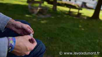 Arras : un trafic de cannabis démantelé dans le quartier du Rietz - La Voix du Nord