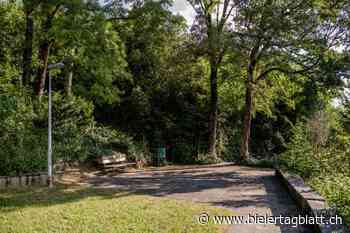 Wo Natur und Architektur zusammenkommen - Bieler Tagblatt