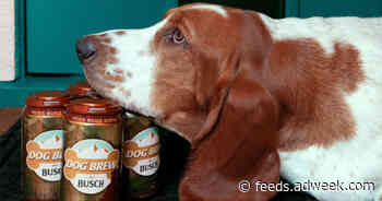DoorDash and Busch Offer Cans of Dog Brew to Your Favorite Furry Drinking Buddy