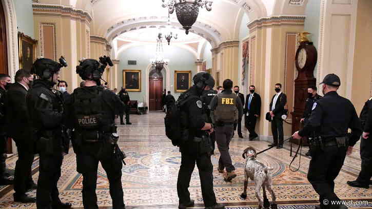 Internal police probe into Capitol riot clears officers in 20 cases, ‘disciplinary action’ recommended in 6
