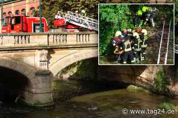 Im Suff! Mann stürzt von Brücke in Chemnitz - TAG24