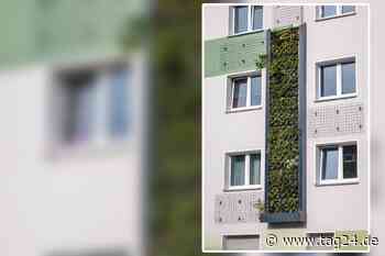 Chemnitz: Bis zu 5000 Euro für Fassaden-Grün - TAG24