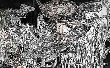 Local visual artist debuts latest project at Edmonton exhibition - Leduc Representative