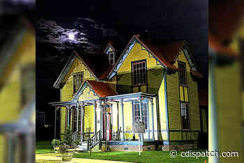 Ask Rufus: Not seeing the forest for the trees - The Dispatch - The Commercial Dispatch