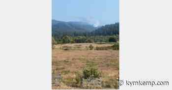 Firefighters Stomp Out Fire Near Jacoby Creek Forest – Redheaded Blackbelt - Redheaded Blackbelt