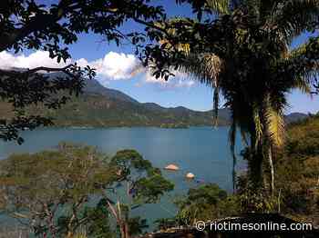 Exploring Saco do Mamanguá, a Fjord in Brazil’s Atlantic Forest - The Rio Times