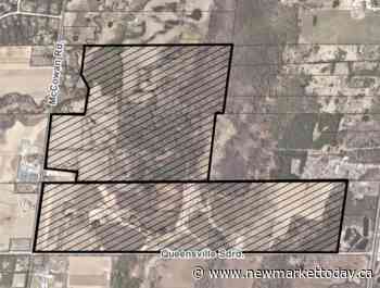 Regional Forest expands with purchase of 142-hectare property in East Gwillimbury - NewmarketToday.ca