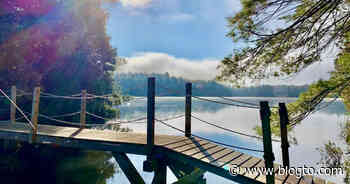 Limberlost Forest and Wildlife Reserve in Ontario comes with 70km of trails to explore - blogTO