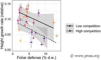 Growth–defense trade-offs shape population genetic composition in an iconic forest tree species - pnas.org